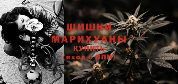 спайс Арсеньев