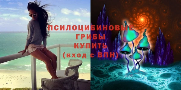 спайс Арсеньев