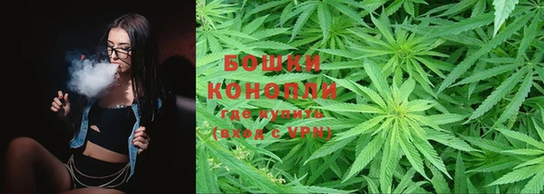 амф Аркадак