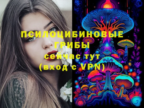 спайс Арсеньев